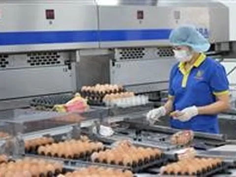 Hỗ trợ doanh nghiệp đổi mới công nghệ: Những bài học từ thế giới