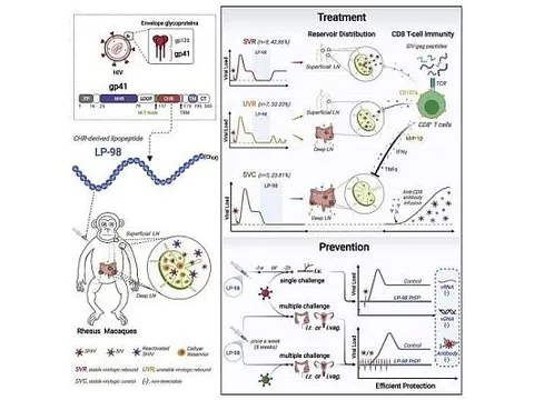 Phân tử chất béo thiết kế cho thấy triển vọng như một phương pháp điều trị HIV