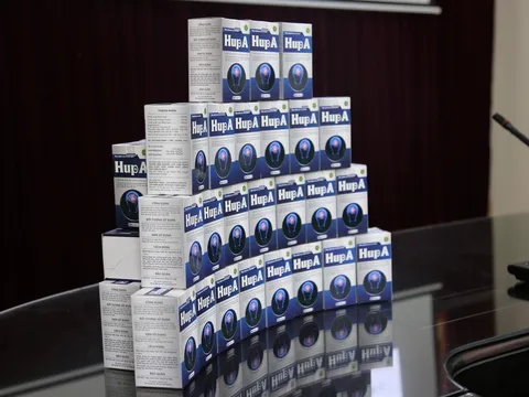 Xây dựng thành công quy trình công nghệ tạo sinh khối tế bào từ Thạch tùng răng cưa