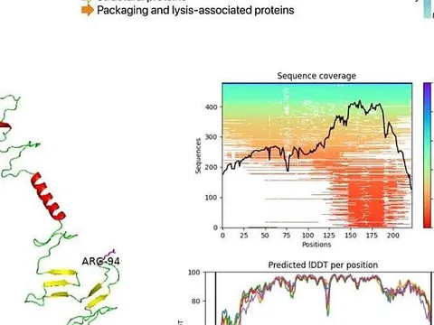 Sử dụng “thể thực khuẩn” để điều trị cho bệnh nhân bị nhiễm vi khuẩn kháng thuốc