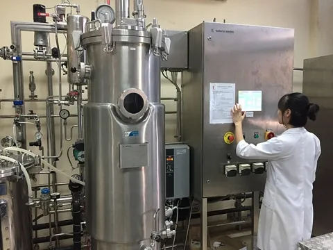 Sản xuất thực phẩm chức năng từ nấm Vân Chi: Áp dụng kỹ thuật lên men hiện đại