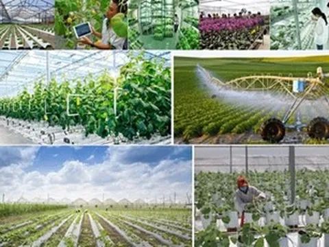 Bà Rịa - Vũng Tàu phát triển nông nghiệp công nghệ cao