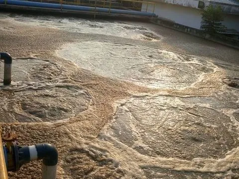 Nghiên cứu phát triển công nghệ thích ứng xử lý bùn hữu cơ thu khí sinh học phát điện