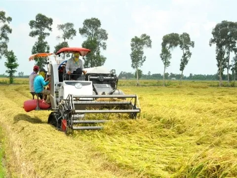 Nghiên cứu cho thấy các biện pháp giảm thiểu biến đổi khí hậu có thể ảnh hưởng đến an ninh lương thực