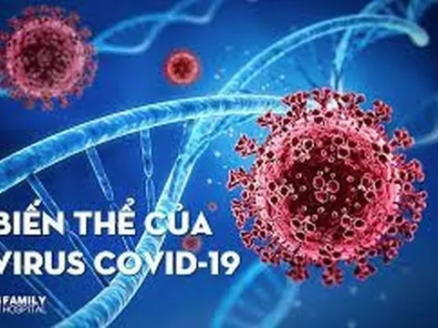 Biến thể của SARS-COV-2 (ngày 4-11/3/2022)