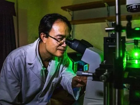 Khám phá mới về sửa chữa ADN