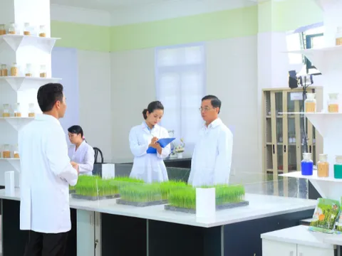 ThaiBinh Seed: Nửa thế kỷ nặng lòng với hạt lúa