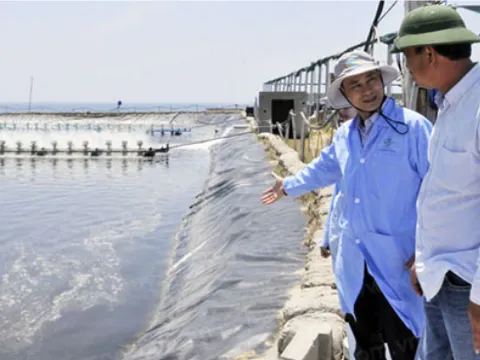 "Anh cả" ngành thủy sản Phú Yên