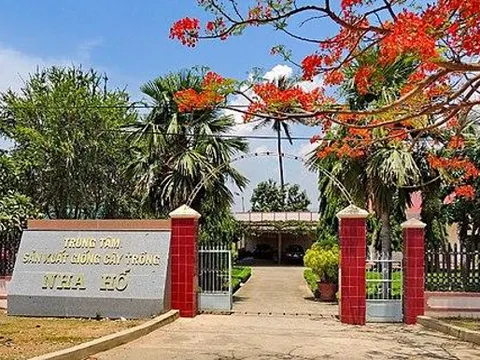 Hạt giống chất lượng - Kiến tạo thịnh vượng