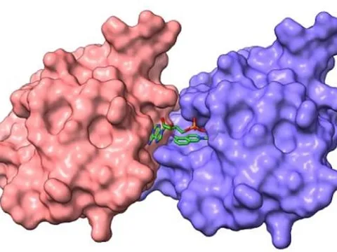 Khối enzyme mở ra phương pháp điều trị mới cho các bệnh thoái hóa thần kinh