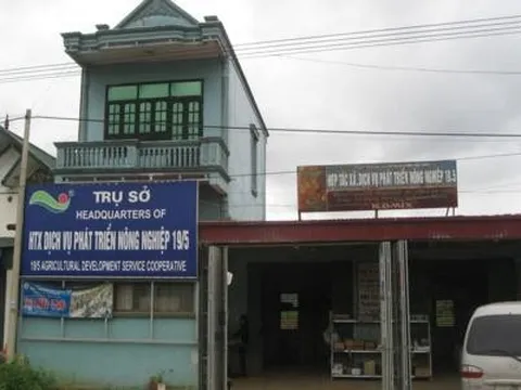 Hợp tác xã dịch vụ và phát triển nông nghiệp 19/5 – Chặng đường xây dựng và phát triển