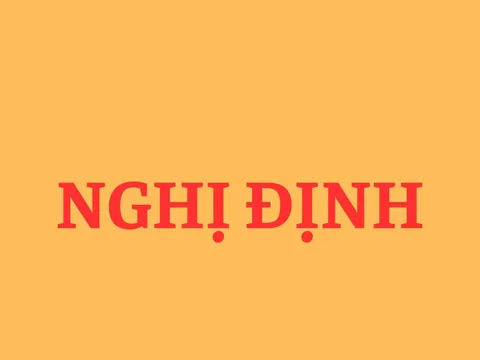 Nghị định số 94/2020/NĐ-CP của Chính phủ: