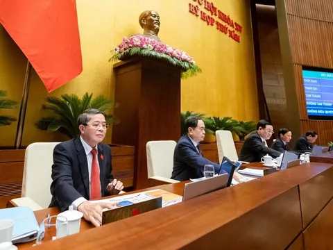 'Cần chấp nhận rủi ro, độ trễ trong nghiên cứu khoa học'