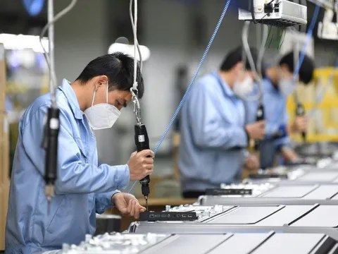 Thúc đẩy năng suất cần cú huých từ đổi mới sáng tạo