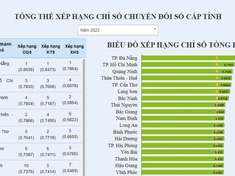 Mức độ chuyển đổi số cấp bộ, tỉnh năm 2022