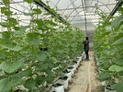 Tăng tốc phát triển công nghệ sinh học từ Nghị quyết 36