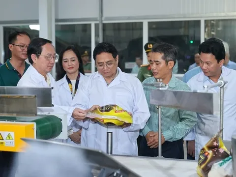 Thủ tướng thăm một số cơ sở sản xuất, chế biến lúa gạo hiện đại, công nghệ cao