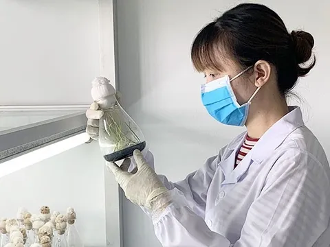 Đóng góp hiệu quả của khoa học, công nghệ cho nông nghiệp