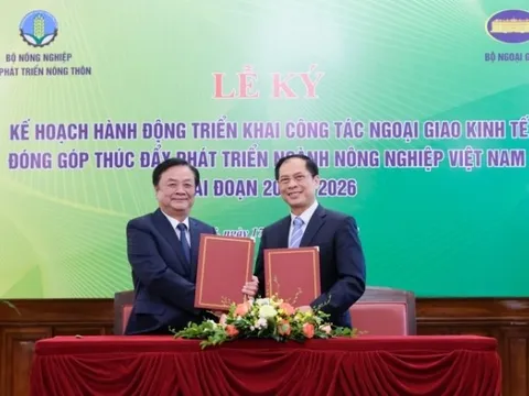 Ngoại giao kinh tế đóng góp thúc đẩy phát triển ngành nông nghiệp Việt Nam