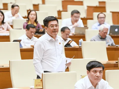 Bộ trưởng Nguyễn Hồng Diên trả lời chất vấn, giải trình về một số vấn đề liên quan đến xuất khẩu nông sản