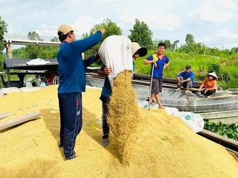 Chỉ thị về tăng cường công tác thông tin thị trường, xúc tiến thương mại, phát triển thị trường xuất khẩu gạo và bình ổn thị trường trong nước trong giai đoạn hiện nay