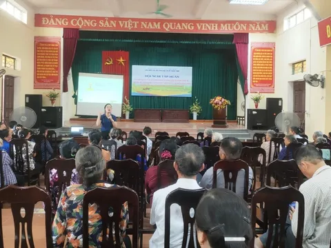 Thái Bình: Đẩy mạnh tích tụ, tập trung ruộng đất để ứng dụng công nghệ cao