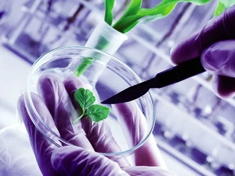 Thiếu chính sách ưu đãi cho doanh nghiệp đầu tư vào công nghệ sinh học