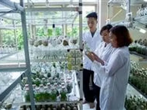 Sắp diễn ra Hội nghị giao ban khoa học và công nghệ vùng Nam Trung Bộ và Tây Nguyên lần thứ XVI