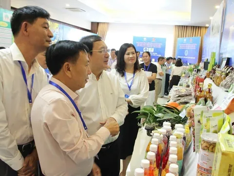 Khoa học, công nghệ và đổi mới sáng tạo thúc đẩy tăng trưởng kinh tế vùng Nam Trung Bộ và Tây Nguyên