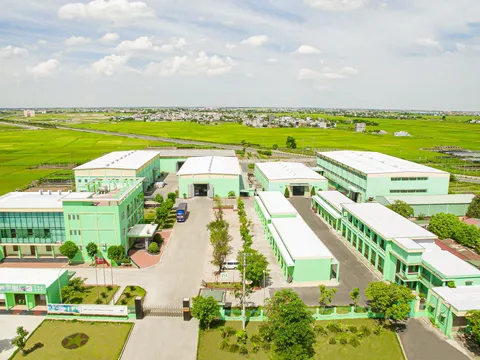 Công ty Cổ phần Tập đoàn ThaiBinh Seed