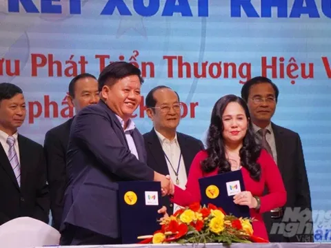 Nông sản Việt rộng đường sang Mỹ