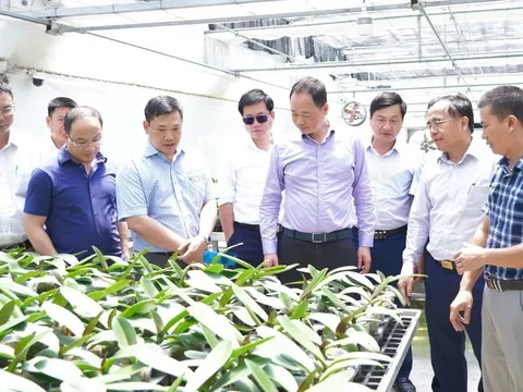 Những sản phẩm nông nghiệp Hà Tĩnh tăng giá trị nhờ khoa học công nghệ