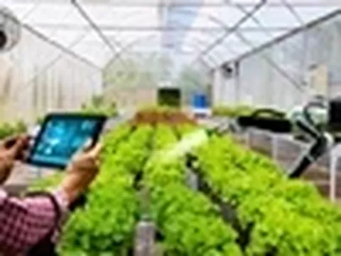 Minh bạch dự án khoa học công nghệ để doanh nghiệp nông nghiệp tham gia sâu