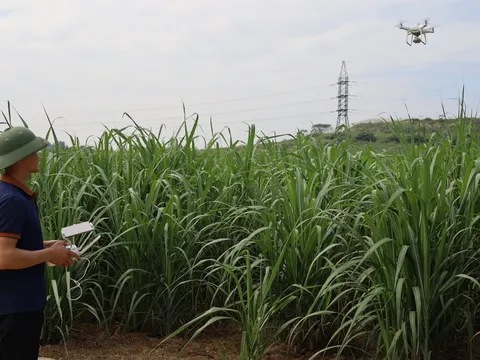 Australia chi 1,45 triệu AUD hỗ trợ đổi mới nông nghiệp bền vững tại Việt Nam