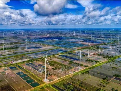 Đổi mới sáng tạo xanh cho mục tiêu phát triển bền vững