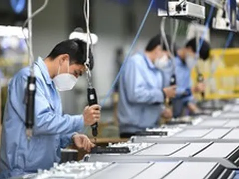 Doanh nghiệp công nghệ số Việt Nam ra thế giới: Cơ hội và thách thức