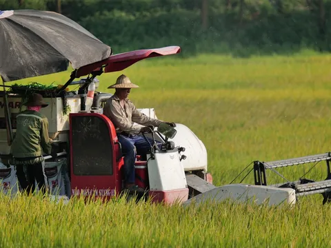 Khoa học công nghệ đóng góp trên 30% giá trị gia tăng trong nông nghiệp