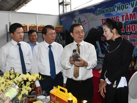 Vùng Trung du và miền núi phía Bắc: Phát triển nhanh và bền vững dựa chủ yếu vào khoa học, công nghệ và đổi mới sáng tạo