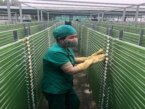 Tăng cường hợp tác thúc đẩy thương mại nông sản