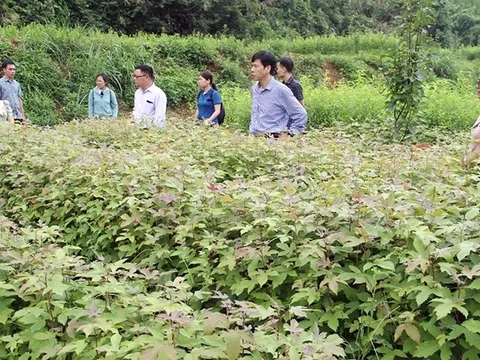 Khắc phục tình trạng lãng phí nguồn lực nghiên cứu khoa học công nghệ