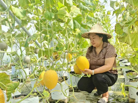 Điện Biên phát huy đòn bẩy khoa học, công nghệ