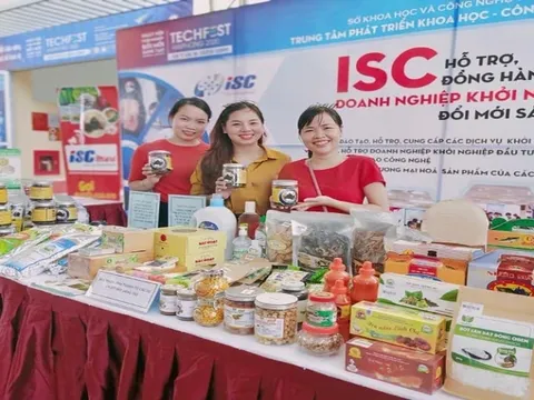 Tăng sức bền cho start-up