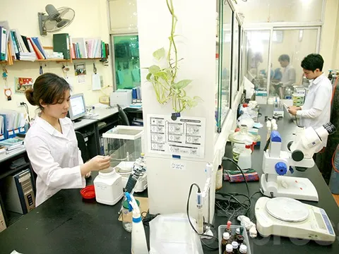 Quy định về phát triển khoa học, công nghệ và đổi mới sáng tạo: Một số rào cản và khuyến nghị