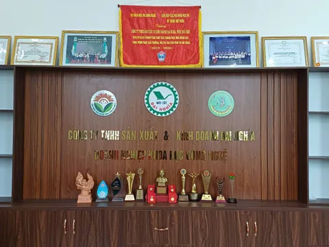 MÁY CẤY LÚA ĐẠI NGHĨA GIẢI PHÁP CHO NGƯỜI NÔNG DÂN VIỆT