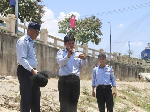 CHUNG TAY BẢO VỆ QUẦN THỂ ĐÀN CHIM YẾN