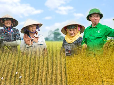 Từ nghèo đói đến cường quốc lương thực