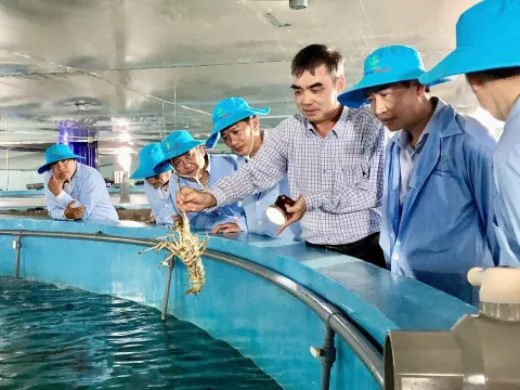 Nhà khoa học của nhà nông 2025 đến từ Đắk Lắk và công nghệ "độc", biến vùng cát trắng ven biển miền Trung thành vựa tôm