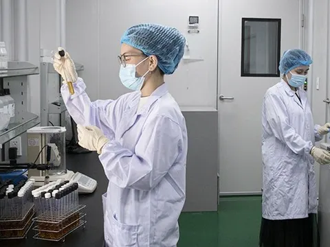 Cơ chế, chính sách thu hút chuyên gia khoa học, công nghệ, đổi mới sáng tạo và chuyển đổi số