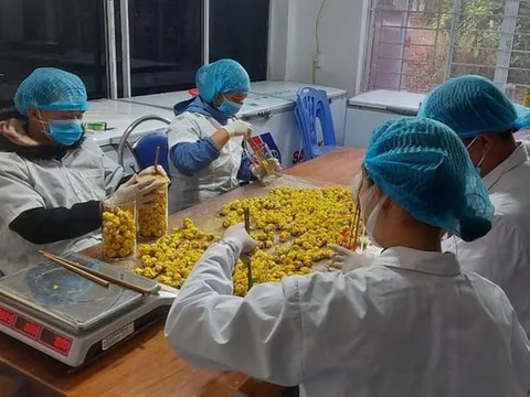 Ứng dụng khoa học, công nghệ và đổi mới sáng tạo trên các lĩnh vực của tỉnh Quảng Ninh - Thành công, hạn chế và những vấn đề đặt ra