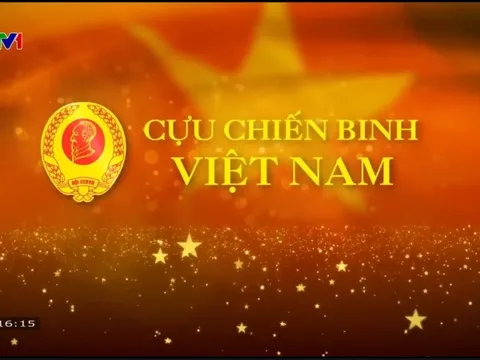 Cựu chiến binh Việt Nam - Trọn vẹn một lý tưởng